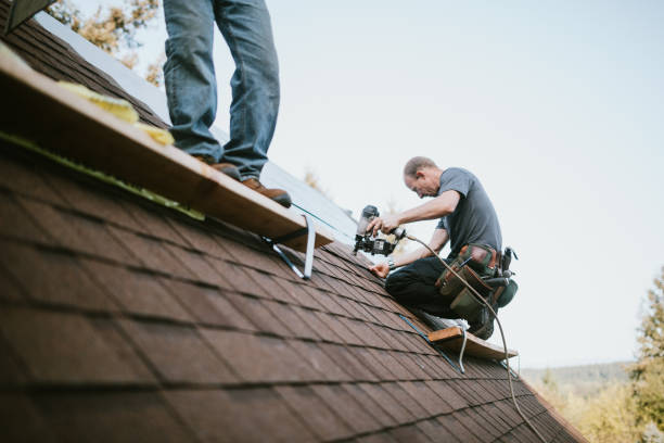Best Gutter Installation and Roofing  in Cherryville, PA